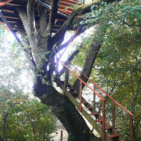 La Insolite Mones