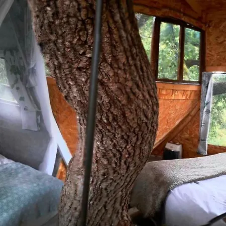 La Insolite Oda ve Kahvaltı