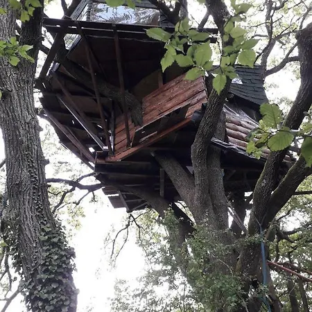 La Insolite Oda ve Kahvaltı