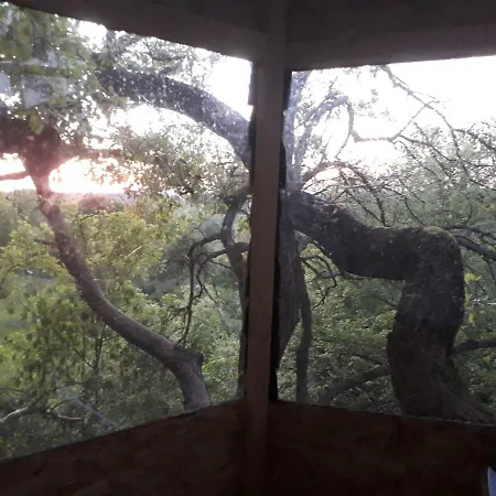 La Insolite Oda ve Kahvaltı Mones