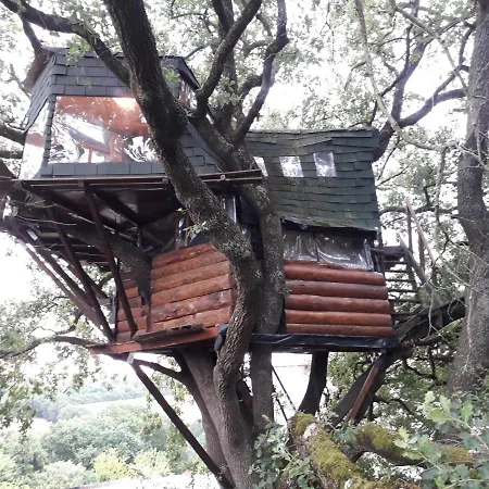 La Insolite Bed & Breakfast