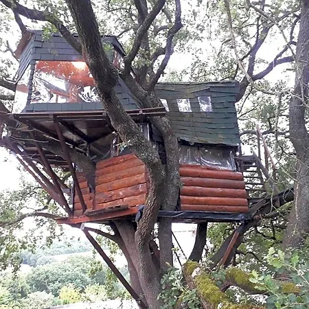 Bed & Breakfast La Insolite Mones