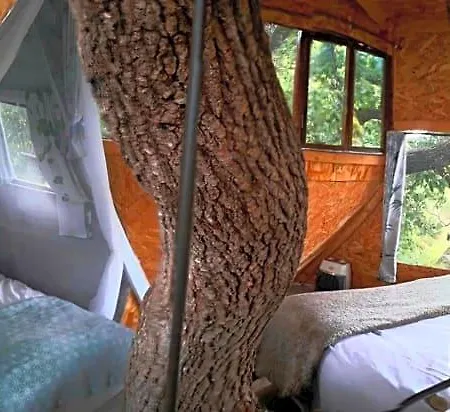 La Insolite Bed & Breakfast