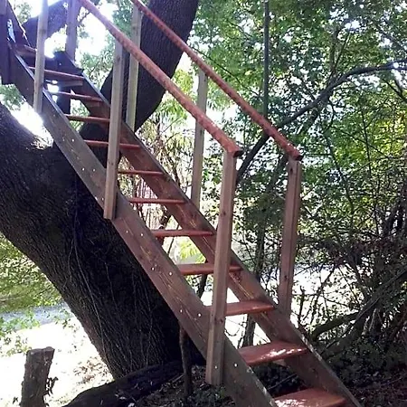 La Insolite