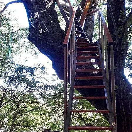 La Insolite 4* Mones
