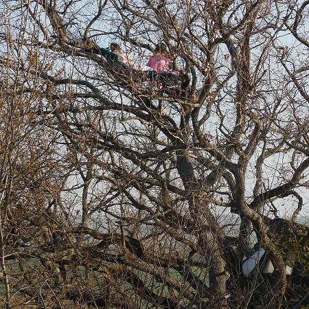 La Insolite