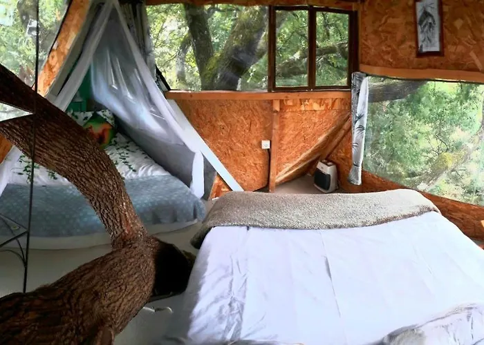 La Insolite 3* Mones