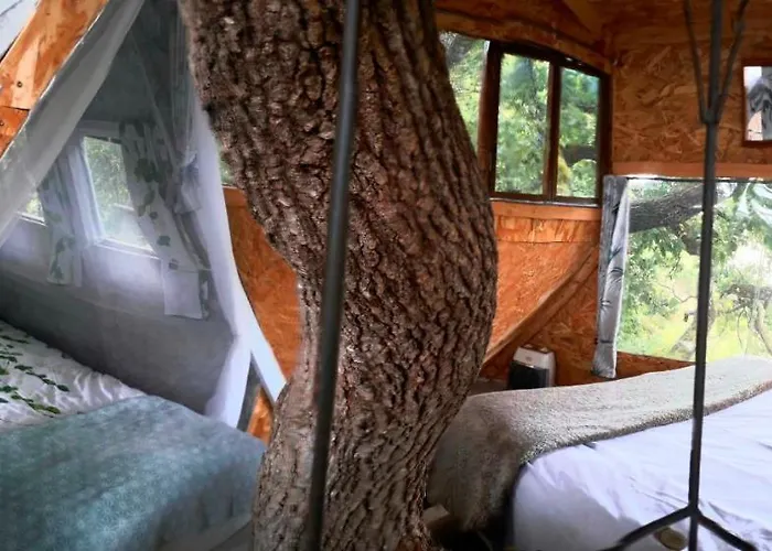 La Insolite Bed and Breakfast