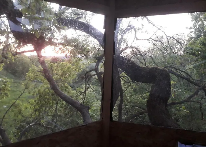 La Insolite Nocleg ze śniadaniem Mones